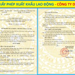 Giấy phép Xuất Khẩu Lao Động - công ty DC