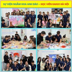 Ngắm hoa Anh Đào - sự kiện của học viên Kaigo Hà Nội