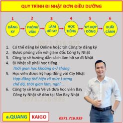 Quy trình đi Nhật đơn điều dưỡng
